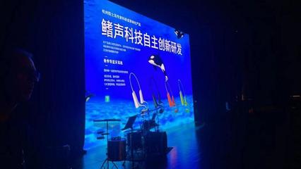 文化交流的艺术 连接心灵与智慧的桥梁